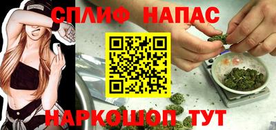 прущие грибы Малоярославец