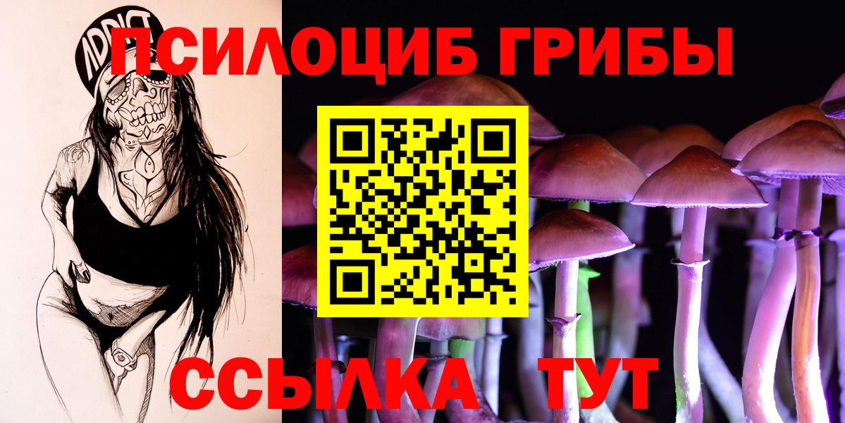 Егорьевск  Галлюциногенные грибы мицелий  Вход с VPN 